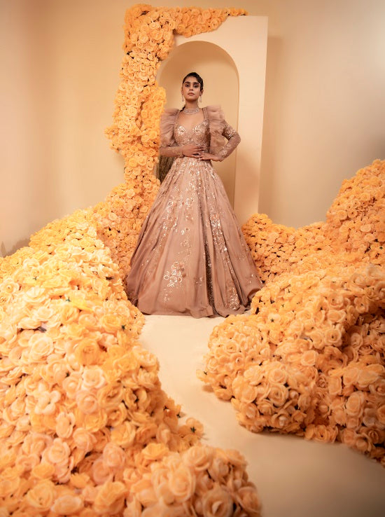 Crepe cameo rose colour gown with embroidered body